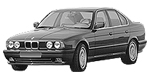 BMW E34 B18E0 Fault Code